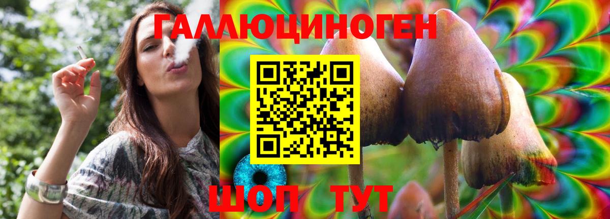 Лабинск  купить  цена  Вход с VPN  Псилоцибиновые грибы Psilocybine cubensis 